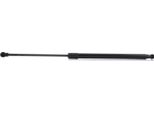 Ridex 219G0198 - Ammortizzatore Portellone Posteriore Oe 74820 ST3 E51 Per Civic Vi