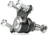 Ridex 2462S0138 - Oe 3C0 407 366 A Giunto Di Supporto, Anteriore Destro Per A3 (8P), A3 (8V), A3 (8Y), Q2 (Ga), Q3 (8U), Q3 (F3B), Q3 (F3), Ateca (K), Alhambra (710, 711), Ateca (Kh), Leon (1P1), Leon (5F), Tarraco (KN2), Karoq, Kodiaq, Octavia Iii (5E), Octavia Iv (Nx), Superb Iii (3V), Arteon (3H), Cc (358), Golf (BA5, BV5), Golf Sportsvan (AM1, AN1), Golf Vii, Golf Viii, Passat (365, 362), Pass