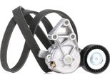 Ridex 542R0004 - Set Di Cinghie Con Nervatura A V Per A3 (8L), Galaxy (Wgr), Alhambra (7V), Leon (1M1), Toledo Ii (1M2), Octavia I (1U), Bora (1J), Golf Iv (1J), T5, New Beetle, Sharan (7M)