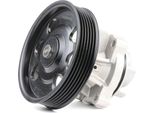Ridex 1260W0021 - Pompa Dell'acqua Oe 46815125 Per Mito (955), Aveo (T300), Nemo, 500 (312), 500L (351, 352), 500X (334), Doblo, Fiorino, Punto, Idea, Linea, Palio, Panda, Qubo, Siena, Strada, Tipo, Ka (RU8), Agila A, Agila B, Astra H, Astra (A04), Astra J, Combo, Combo (X12), Combo Tour, Combo Tour (X12), Corsa C (X01), Corsa D (S07), Corsa E (X15), Meriva (X03), Meriva B (S10), Tigra Twintop (X0