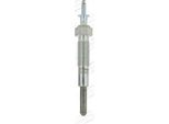 Champion CH242 - Candeletta Oe 1441267 Per Ranger (Eq, Er, R), Ranger (Et), 323 (Ba)