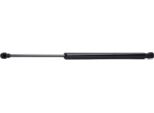 Ridex 219G0330 - Oe 81770 0X000 Ammortizzatore Portellone Posteriore Per I10 (Pa), I10 (Ba, Ia)