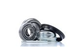Ridex 654W0002 - Oe 11600 21408 00 Radlagersatz, Hinterachse FüR Arosa (6H), Cordoba (6K), Ibiza (6K), Toledo I (1L2), Felicia (6U), Caddy Ii (9K), Corrado (53I), Golf Iii (1H), Golf Cabriolet (1E), Jetta Ii (165, 19E, 1G2), Kaefer, Passat (35I), Polo (80, 86C), Polo (6N), Polo (6V), Vento (1H)