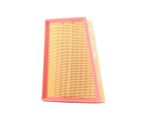 Ridex 8A0251 - Filtro Aria Oe 16 54 650 86R Per Fluence (L3), Grand Scenic Iii (Jz), Megane Cc, Megane Iii, Scenic Iii