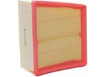 Ridex 8A0250 - Filtro Aria Oe 1 516 725 Per B-Max, Ecosport, Fiesta Vi, Ka+ (Fk), Tourneo Connect, Transit Courier, 2 (De, Dh)