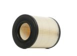 Ridex 8A0146 - Filtro Aria Oe 4F0133843A Per A6 (4F)
