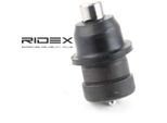 Ridex 2462S0120 - Giunto Di Supporto Oe 04443405 Per Neon I, Voyager Iii (Gs)