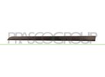 Prasco OP4101404 - Oe 13145634 Modanatura, Anteriore Sinistra Per Astra H