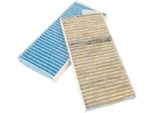 MASTER-SPORT 2941-2-IFB-SET-MS Filtro Aria Abitacolo, Filtro Antipolline Per Bmw X5 (E70)