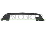 Prasco OP0342305 - Telaio Oe 13231588, Griglia Radiatore Per Corsa D (S07)