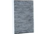 Ridex 424I0271 - Filtro Aria Cabina Oe 7711228912 Per Logan, Clio I, Clio Ii, Kangoo (Kc), Kangoo (Fc), Logan I, Megane I, Thalia I (Lb), Thalia Ii (Lu), Thalia Iii (L8)