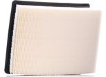 Ridex 8A0280 - Filtro Aria Oe PC3333E Per Laguna Iii, Latitude (L70)