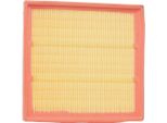Ridex 8A0279 - Filtro Aria Oe 51796537 Per Mito (955), Punto, Doblo, Linea, Combo (X12), Combo Tour (X12)