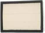 Ridex 8A0151 - Filtro Aria Oe 1444 N0 Per Escort V, Escort Vi, Escort Vii, Orion Iii (Gal)