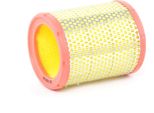 Ridex 8A0225 - Filtro Aria Oe 1444 A7 Per Berlingo, Saxo, Xsara, Zx (N2), 106 Ii, 306, 405 Ii, Partner (5, G)