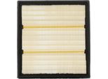 Ridex 8A0381 - Filtro Aria Oe 651 094 02 04 Per Classe A (W176), Classe B (W246), Citan (W415), Cla (C117), Cla (X117), Classe Gla (X156)
