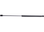 Ridex 219G0017 - Oe 168 980 01 64 Ammortizzatore Portellone Posteriore Per Classe A (W168)