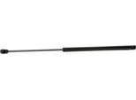 Ridex 219G0114 - Ammortizzatore Portellone Posteriore Oe 74820 Smg E01 Per Civic Viii