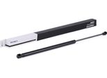 Ridex 219G0243 - Ammortizzatore Posteriore Oe 8731 J8 Per C4 (La), C4 I (Lc)