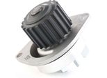 Ridex 1260W0051 - Pompa Acqua Oe Pa 7407 Per Berlingo, C-Elysee (Dd), C2 (Jm), C3 I (Fc, Fn), C3 Iii (Sx), C3 Pluriel (Hb), C4 (La), C4 I (Lc), Saxo, Xsara, 1007 (Km), 106 Ii, 206 Cc (2D), 206 (2A/C), 206 (2E/K), 206 Sw (2E/K), 301, 306, 307, 307 Cc (3B), 307 Sw (3H), 308 I, 308 Sw I, 308 Sw Ii, 405 Ii, Partner, Partner (5, G), Partner Tepee