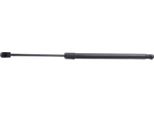 Ridex 219G0307 - Ammortizzatore Posteriore Oe 90452 2F705 Per Primera (P11), Grand Scenic Ii (Jm), Scenic Ii