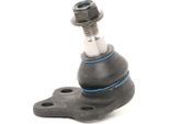 Ridex 2462S0185 - Oe 1377846 Traggelenk, Vorne Unten FüR Galaxy (WA6), Mondeo Iv, S-Max (WA6), S60 Ii (134), S80 Ii (124), V60 I (155, 157), V70 Iii (135), XC60 (156)