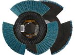 Rhodius Proline Vision Pro Disco Lamellare 125 X 22,23 Mm K40 10 Pz