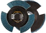 Rhodius Proline Vision Pro Disco Lamellare 115 X 22,23 Mm K60 10 Pz