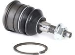 Ridex 2462S0334 - Oe 52090206AF Giunto Per Sospensione Anteriore Per Commander (Xh, Xk), Grand Cherokee Iii (Wh, Wk)