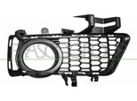 Prasco BM0292124 - Oe 51118062631 Griglia Di Ventilazione, Sinistra Per Serie 3 (F30), Serie 3 (F31)