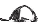 Ridex 685I0021 - Set Di Cavi Candela Oe 77 00 107 662 Per Clio I, Clio Ii, Kangoo (Kc), Twingo I (S06), Twingo I (C06), Kangoo (Fc)