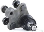 Ridex 2462S0213 - Oe 51220T0AA01 Giunto Inferiore Della Sospensione Anteriore Per CR-V Iii (Re), CR-V Iv (Rm), HR-V (Ru)