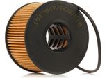 Ridex 7O0062 - Filtro Olio Oe 1088179 Per Mondeo Iii, Transit, X-Type (X400)