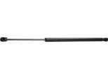 Ridex 219G0689 - Ammortizzatore Posteriore Oe D651 62 620 Per 2 (De, Dh)