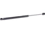Ridex 219G0672 - Ammortizzatore Posteriore Oe 8731 H4 Per 607 (9D, 9U)