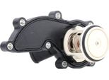 Ridex 316T0175 - Termostato Acqua Di Raffreddamento Oe 06E 121 111 D Per A4 (8E), A4 (8H), A6 (4F)