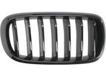 Blic 6502-07-00969988P - Griglia Radiatore Oe 51712334708, Destra Per X5 (F15, F85), X6 (F16)