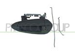 Prasco FT3428014 - Oe 735366254 Maniglia Porta, Anteriore Sinistra Per Punto