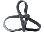 Jp Group Cinghia Con Nervatura A V 795Mm Per Fiat Seicento / 600 Hatchback (187) 1318104200