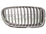 Prasco BM0492013 - Griglia Radiatore Oe 51137261355, Destra Per Serie 5 (F10), Serie 5 (F11)