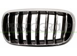 Prasco BM8262014 - Griglia Radiatore Oe 51137316061, Sinistra Per X5 (F15, F85)