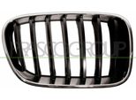 Prasco BM8042003 - Griglia Radiatore Oe 51117510726, Destra Per X3 (F25)