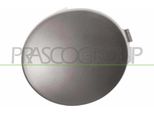 Prasco RN3241250 - Oe 7702295498 Cornice, Fendinebbia, Sinistra Per Clio Iii