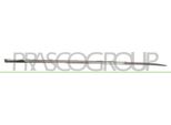 Prasco RN3291413 - Oe 808209212R Modanatura, Anteriore Destra Per Clio Iv