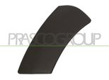 Prasco DA8201572 - Oe 960178918R Modanatura, Parafango Anteriore Sinistro Per Duster