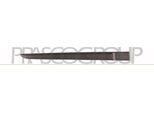 Prasco RN3251453 - Oe 7701476426 Modanatura, Posteriore Destra Per Clio Iii
