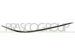 Prasco ME5241247 - Oe A2208850674 Modanatura, Paraurti, Anteriore Destro Per Classe S (W220)