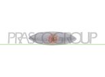 Prasco TY3204042 - Oe 8174052010 Indicatore, Specchio Esterno Sinistro Per Yaris (P1)