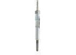 Champion CH175 - Candeletta Oe 88900724 Per Classe C (W202), Classe C (S202), Classe E (W124), Classe E (S124)