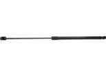 Ridex 219G0318 - Ammortizzatore Posteriore Oe 7700 828 454 Per Megane Scenic, Scenic I